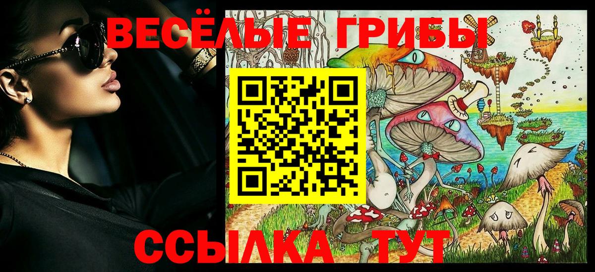 Псилоцибиновые грибы прущие грибы Лосино-Петровский
