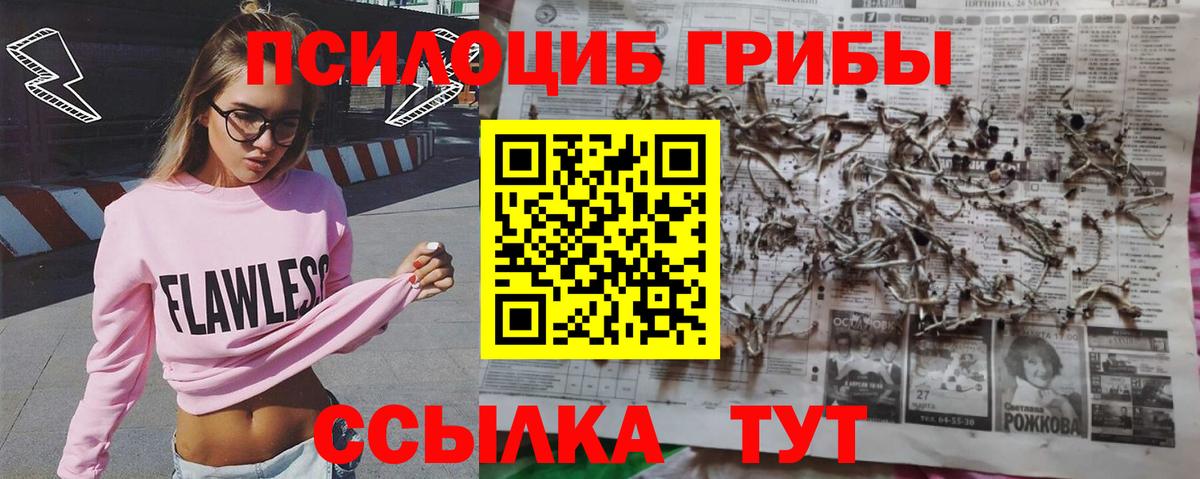 Псилоцибиновые грибы GOLDEN TEACHER  Вход с VPN  Лосино-Петровский 